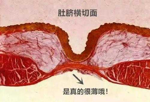 多热的天睡觉都会盖肚子 网友:盖肚脐眼是国人最后的倔强