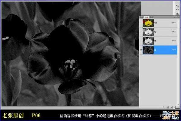 Photoshop通过计算命令无限改变花的颜色图文教程