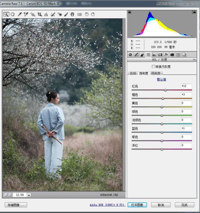 Photoshop调出外景梅花人像中国风冷色效果