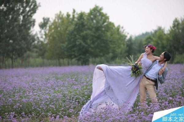 PS后期修饰薰衣草花海外景婚纱照